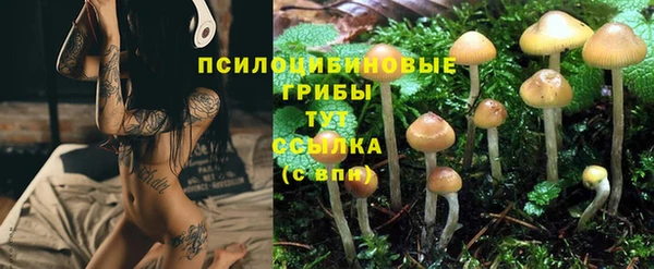 ешки Балахна